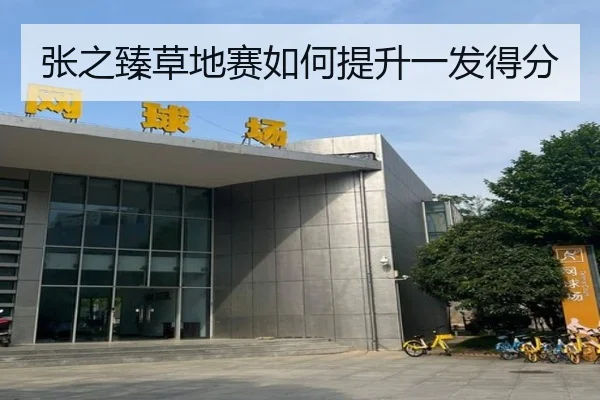 张之臻草地赛如何提升一发得分